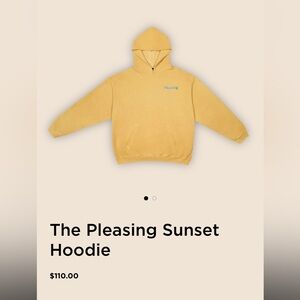 Harry styles pleasing hoodie